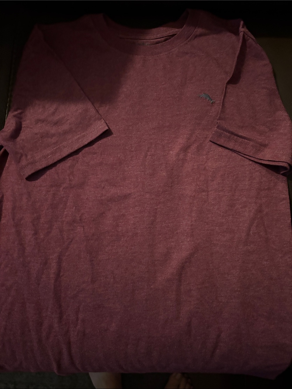 Boys Short-Sleeve Crewneck Tee in Burgundy